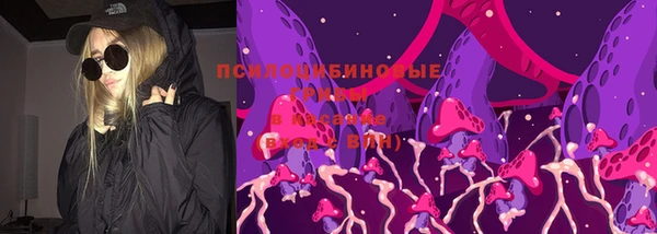 гидра Верхний Тагил