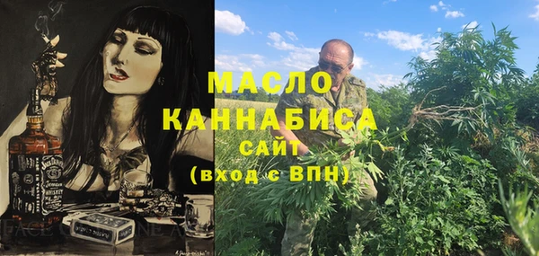 гидра Верхний Тагил
