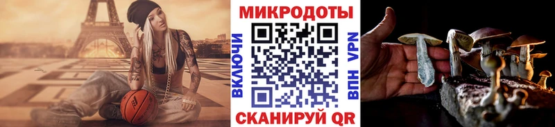 Галлюциногенные грибы Psilocybine cubensis как найти наркотики Почеп